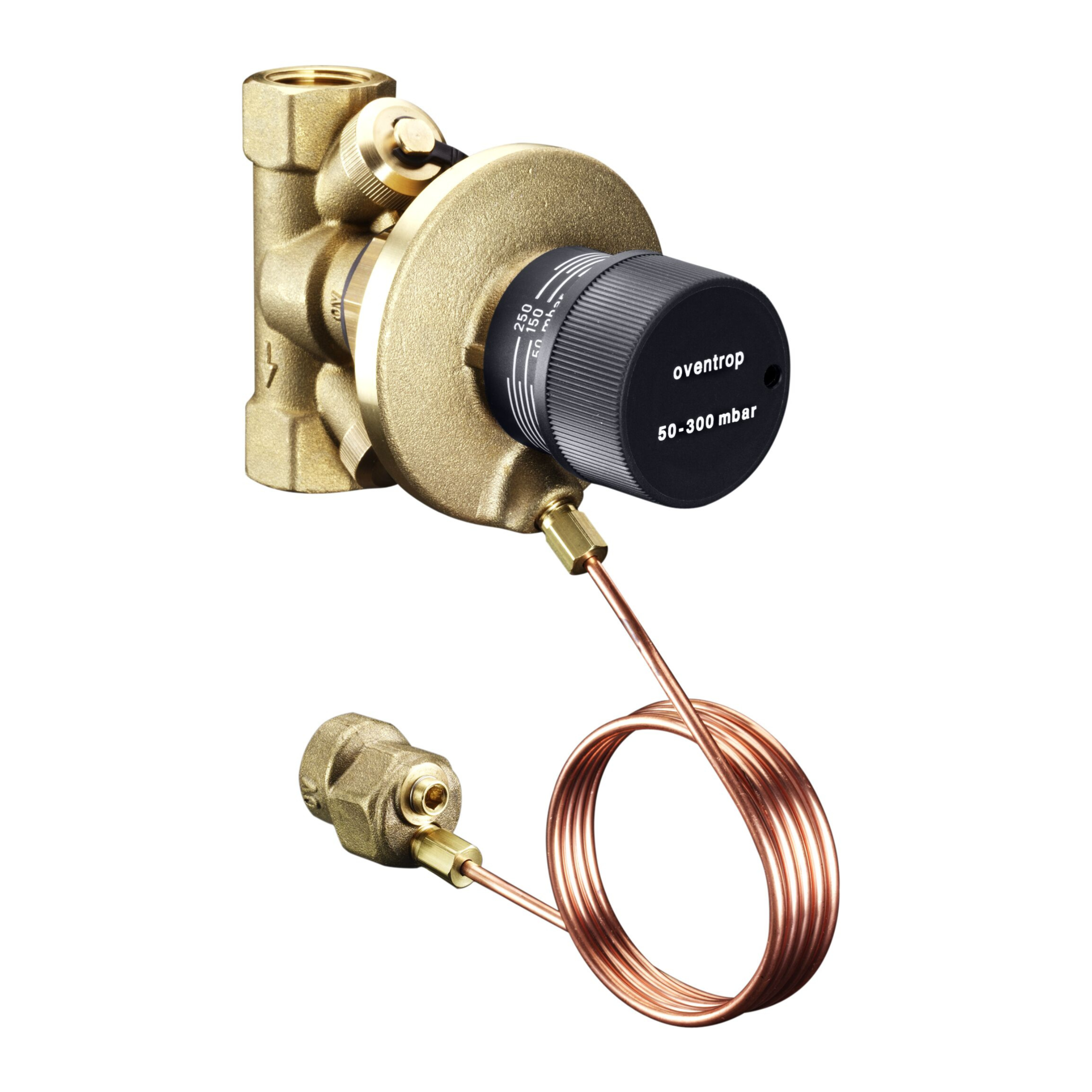 Регулятор перепаду тиску Hycocon DP, DN32 11/4" - Зображення 2